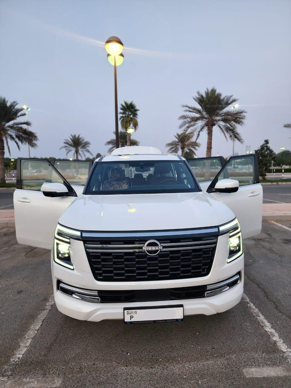 Nissan petrol 2025 (1)