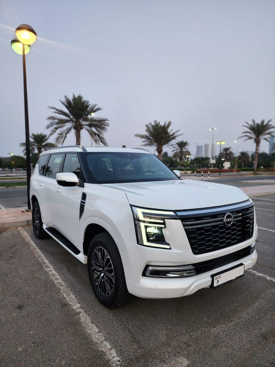 Nissan petrol 2025 (4)