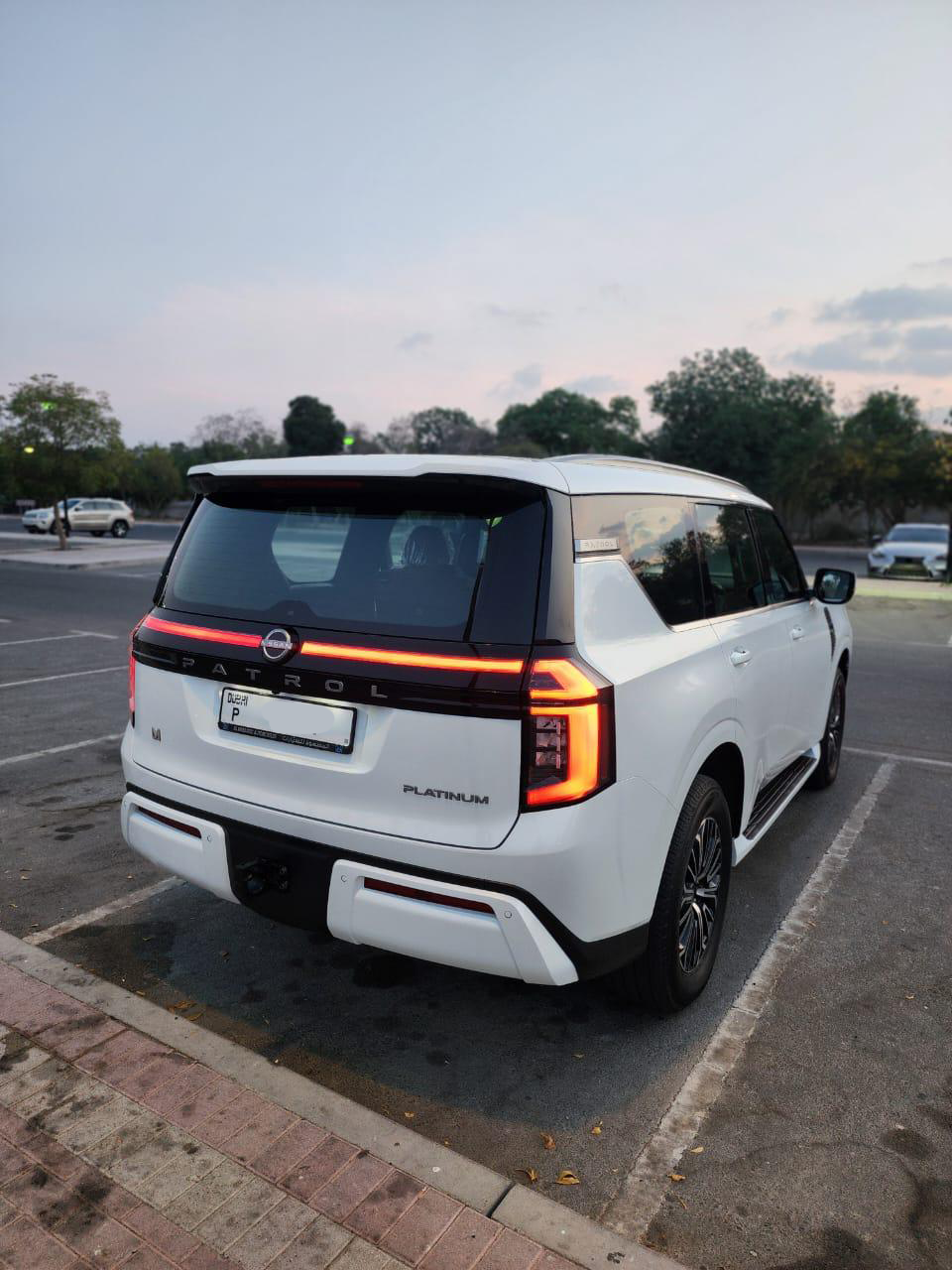 Nissan petrol 2025 (5)