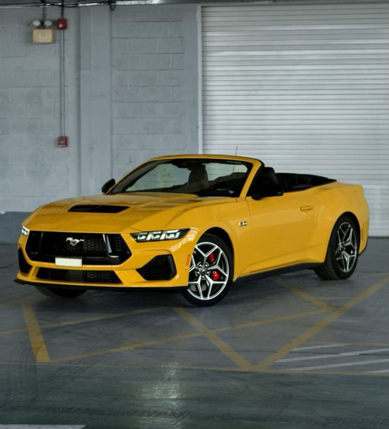 Ford Mustang 2025 (3)
