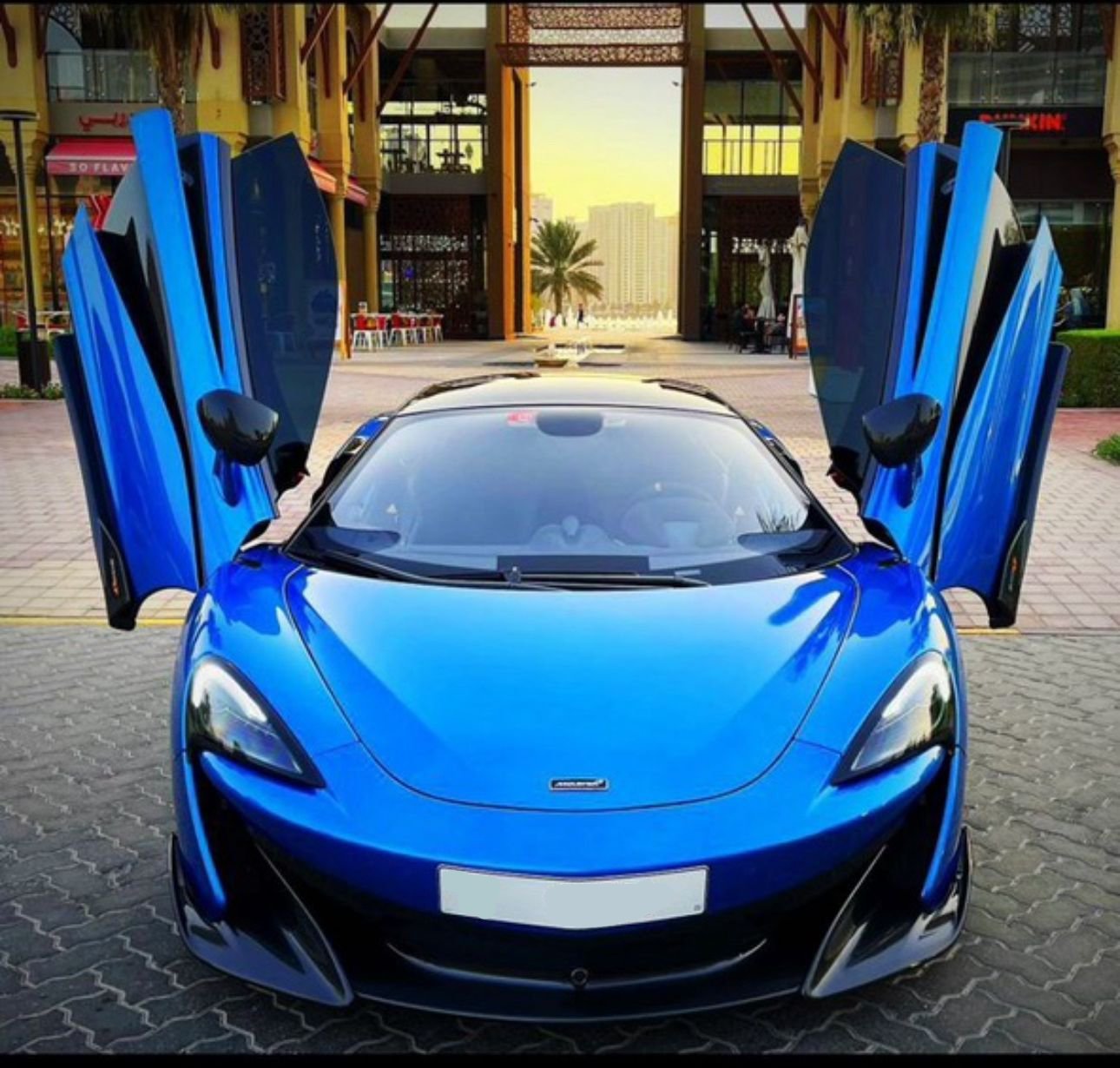 Maclaren 600LT car (2)